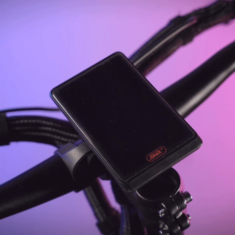 Emove Cruiser V2 Display