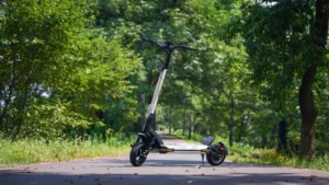 Emove Cruiser V2